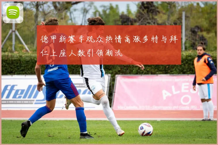 德甲新赛季观众热情高涨多特与拜仁上座人数引领潮流